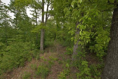 100 Aloha Ln, Noel, MO 64854 photo 44