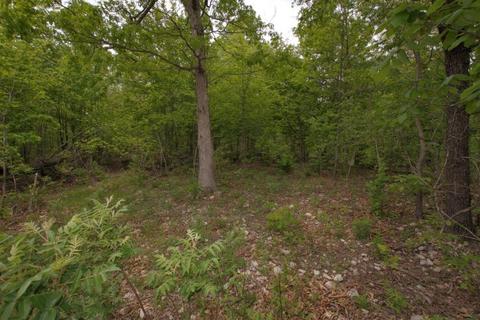 100 Aloha Ln, Noel, MO 64854 photo 35