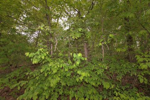 100 Aloha Ln, Noel, MO 64854 photo 24