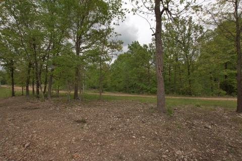 100 Aloha Ln, Noel, MO 64854 photo 11