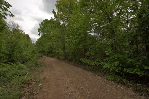 100 Aloha Ln, Noel, MO 64854 photo 23