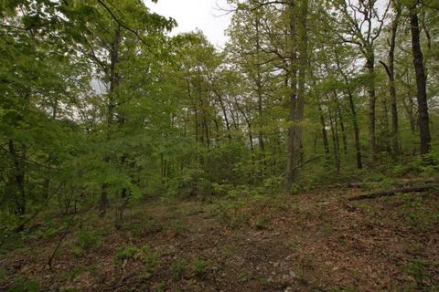 100 Aloha Ln, Noel, MO 64854 photo 40