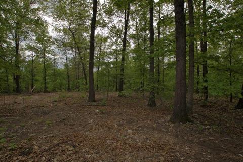 100 Aloha Ln, Noel, MO 64854 photo 32