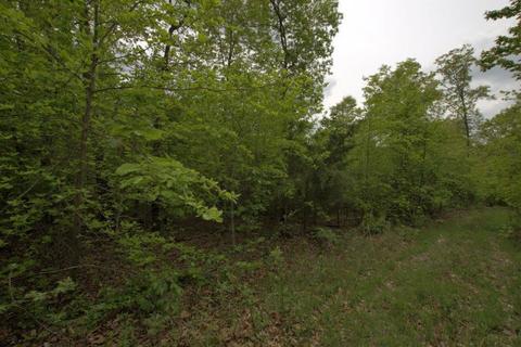 100 Aloha Ln, Noel, MO 64854 photo 37
