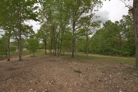 100 Aloha Ln, Noel, MO 64854 photo 12
