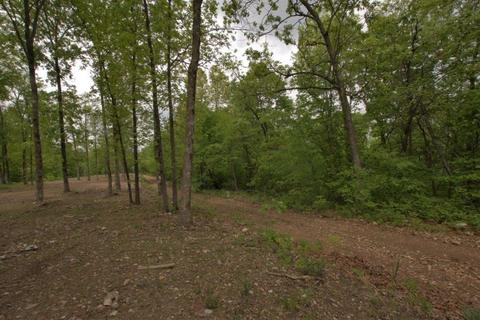 100 Aloha Ln, Noel, MO 64854 photo 18