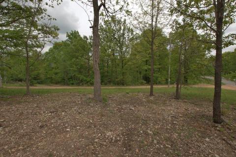 100 Aloha Ln, Noel, MO 64854 photo 10