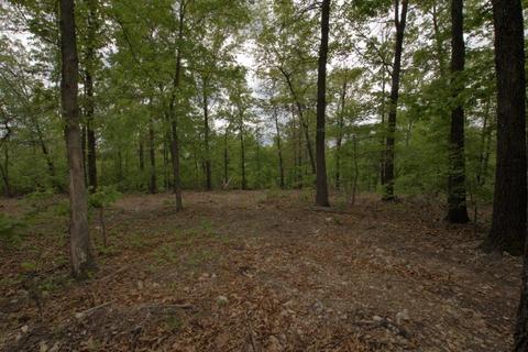 100 Aloha Ln, Noel, MO 64854 photo 31