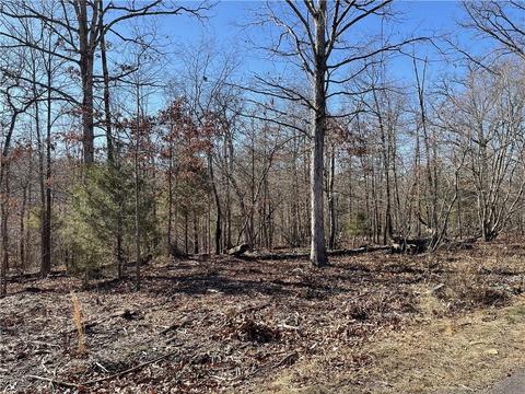 Selkirk Drive, Bella Vista, AR 72715