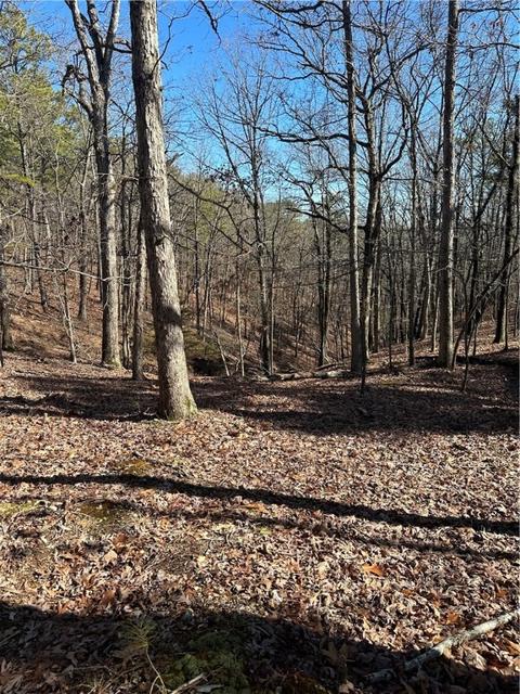 Tbd County Road 205, Eureka Springs, AR 72632