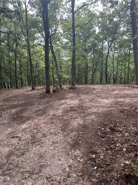 Tbd County Road 205, Eureka Springs, AR 72632