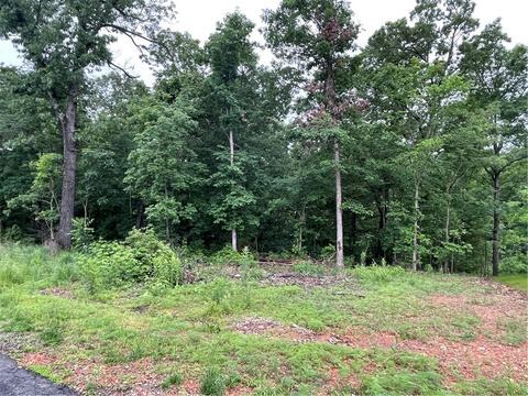 L9 B4 Tiree Drive, Bella Vista, AR 72715