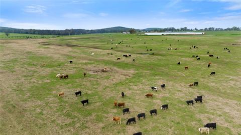 Reed, Summers, AR 72769 photo 3