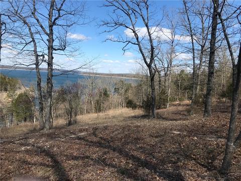 Tract F. Mc 8001, Yellville, AR 72687