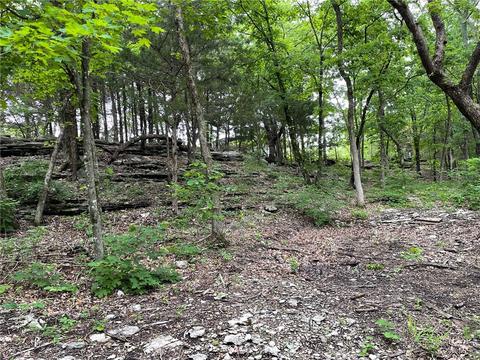 451 County Rd 2462, Berryville, AR 72616