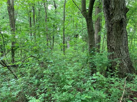Daisy Circle, Rogers, AR 72756 photo 7