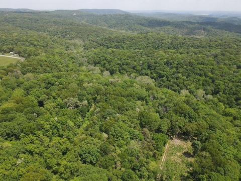 Daisy Circle, Rogers, AR 72756 photo 9