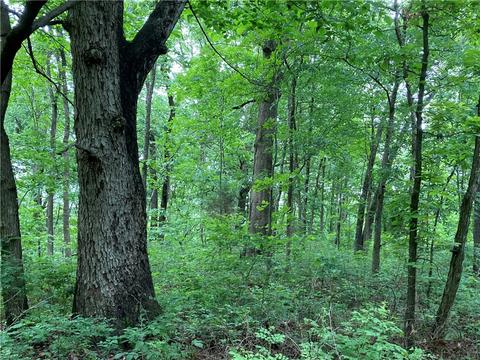 Daisy Circle, Rogers, AR 72756 photo 6