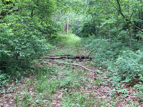 Daisy Circle, Rogers, AR 72756 photo 8