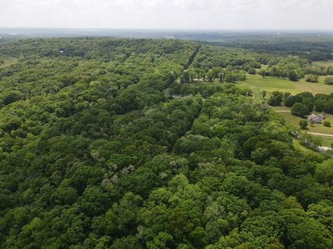 Daisy Circle, Rogers, AR 72756 photo 5