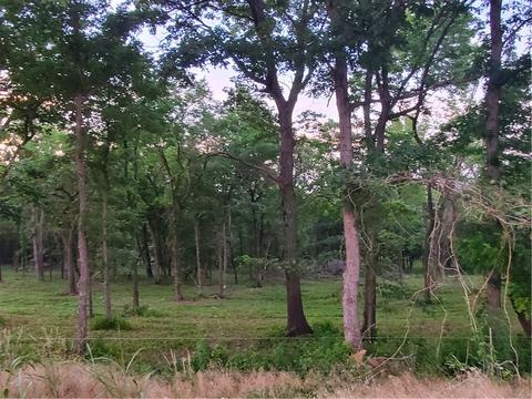 2841 Madison 7325, Hindsville, AR 72738