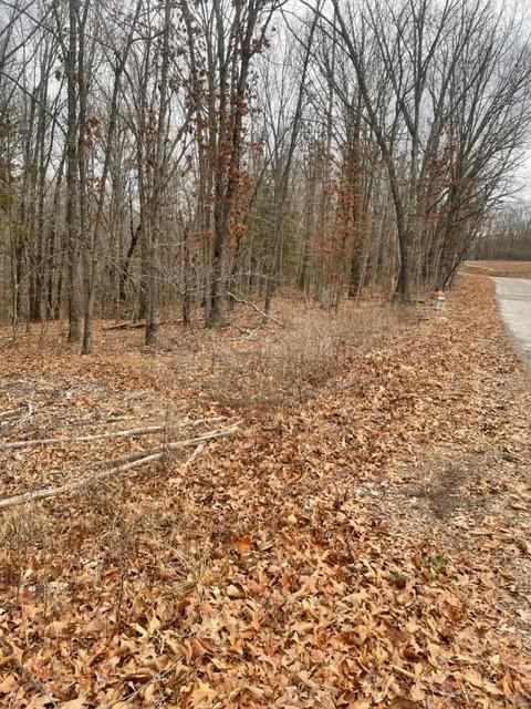 Tummell Drive, Bella Vista, AR 72715