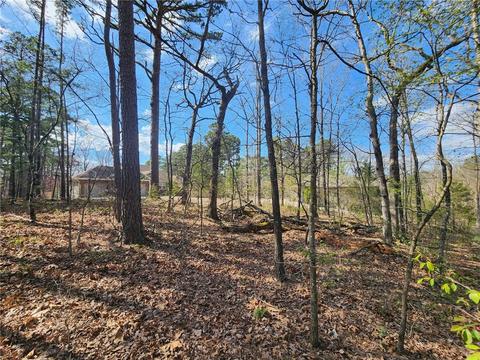 Greta Lane, Bella Vista, AR 72715