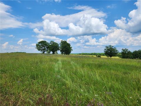 Tbd County Road 18, Compton, AR 72624 photo 3