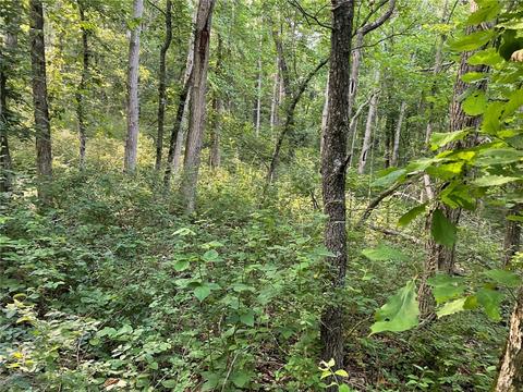 Farrah Lane, Bella Vista, AR 72715