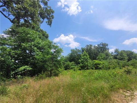 32 53 Ac Shannon Rd, Canehill, AR 72717