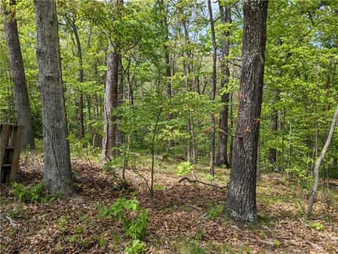 17 Devon Lane, Bella Vista, AR 72715
