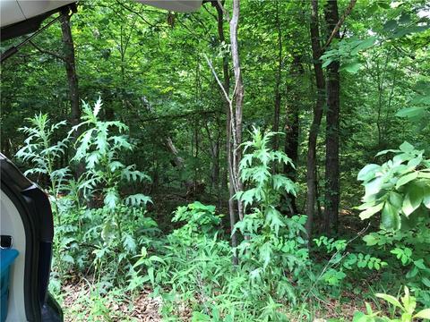 Lockerbie Lane, Bella Vista, AR 72715