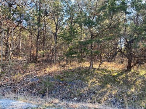 14 Hillside Dr #10, Holiday Island, AR 72631
