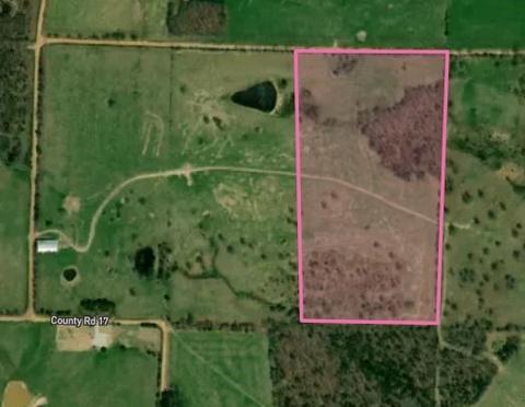 Tbd 2 County Road 18, Compton, AR 72624 photo 2