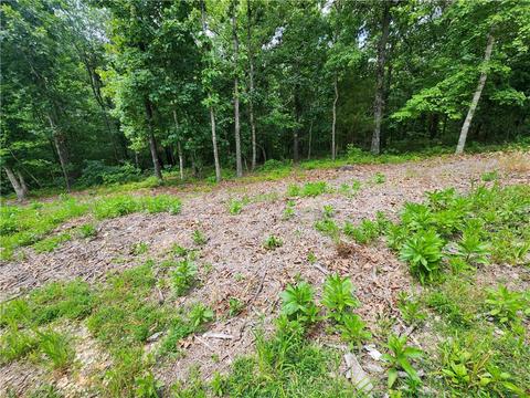 Cairn Lane, Bella Vista, AR 72715