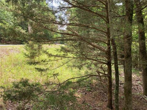 Pine Drive, Rogers, AR 72732