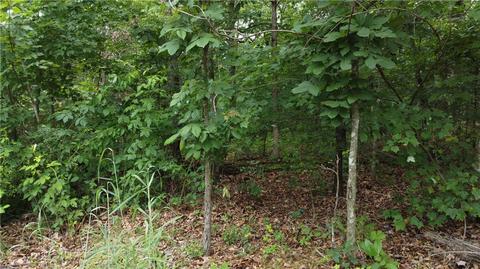 Patsy Circle, Bella Vista, AR 72715 photo 2