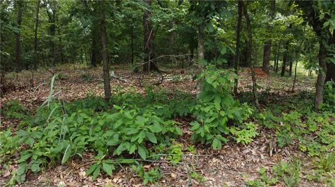 Patsy Circle, Bella Vista, AR 72715 photo 3