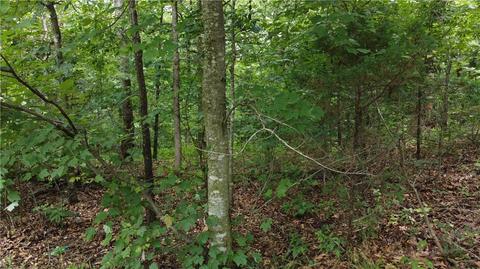 Patsy Circle, Bella Vista, AR 72715 photo 4