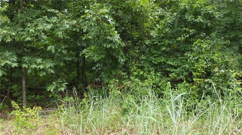 Patsy Circle, Bella Vista, AR 72715 photo 5