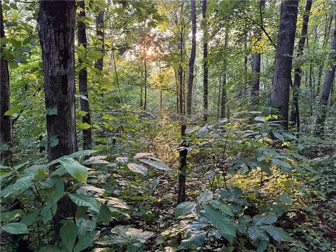 County Road 4225, Combs, AR 72721 photo 45