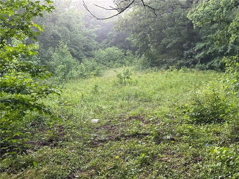 County Road 4225, Combs, AR 72721 photo 24