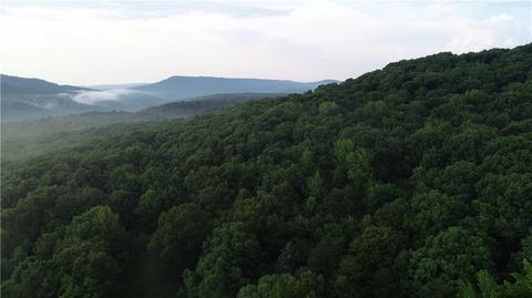County Road 4225, Combs, AR 72721 photo 4
