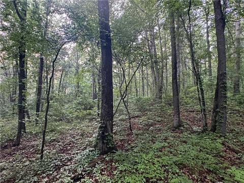 County Road 4225, Combs, AR 72721 photo 27