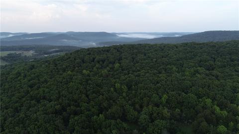 County Road 4225, Combs, AR 72721 photo 2