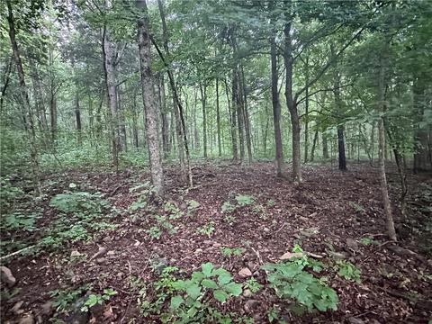 County Road 4225, Combs, AR 72721 photo 31