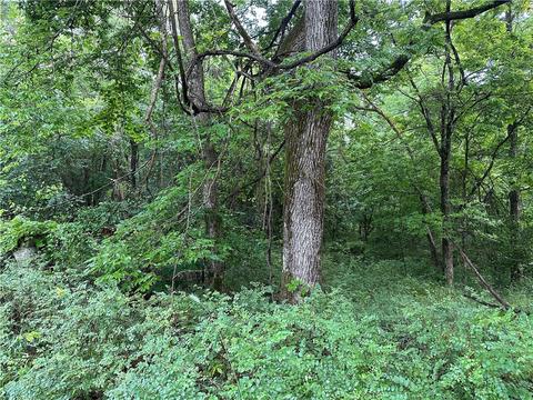 County Road 4225, Combs, AR 72721 photo 16