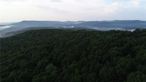 County Road 4225, Combs, AR 72721 photo 52