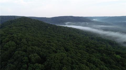 County Road 4225, Combs, AR 72721 photo 8