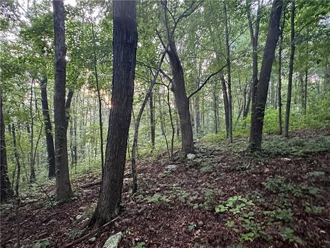 County Road 4225, Combs, AR 72721 photo 32